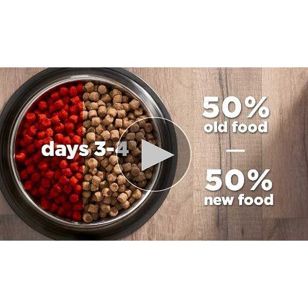 Hill's Science Diet Adult Hairball Control Dry Cat Food - Pet Supplies online store