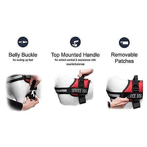 Industrial Puppy Service Dog Vest with Hook and Loop Straps and Detachable Backpacks Harnesses in 7 Sizes from XXS to XXL - Pet Supplies online store