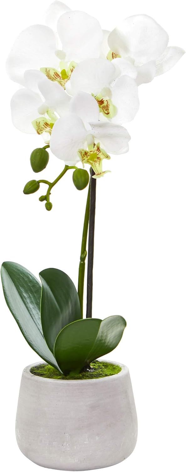 Nearly Natural Phalaenopsis Orchid Artificial Arrangement (Set of 2)