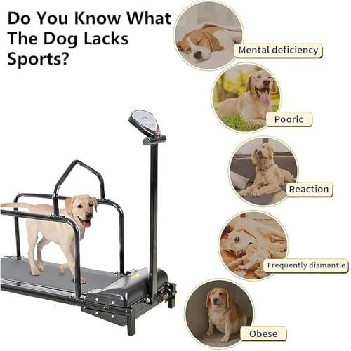 Dog Treadmill Large Dogs, Doggy Treadmill, Dog Treadmill Medium Dogs, Pet Running Machine Small & Medium Dog Exercise, Indoor Treadmill