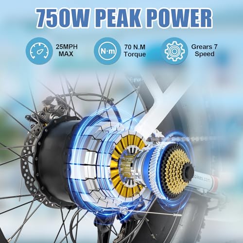 DAMSON Electric Bike for Adults 750W,48V 31.5AH Long-Range Adult Electric Bicycles, 20