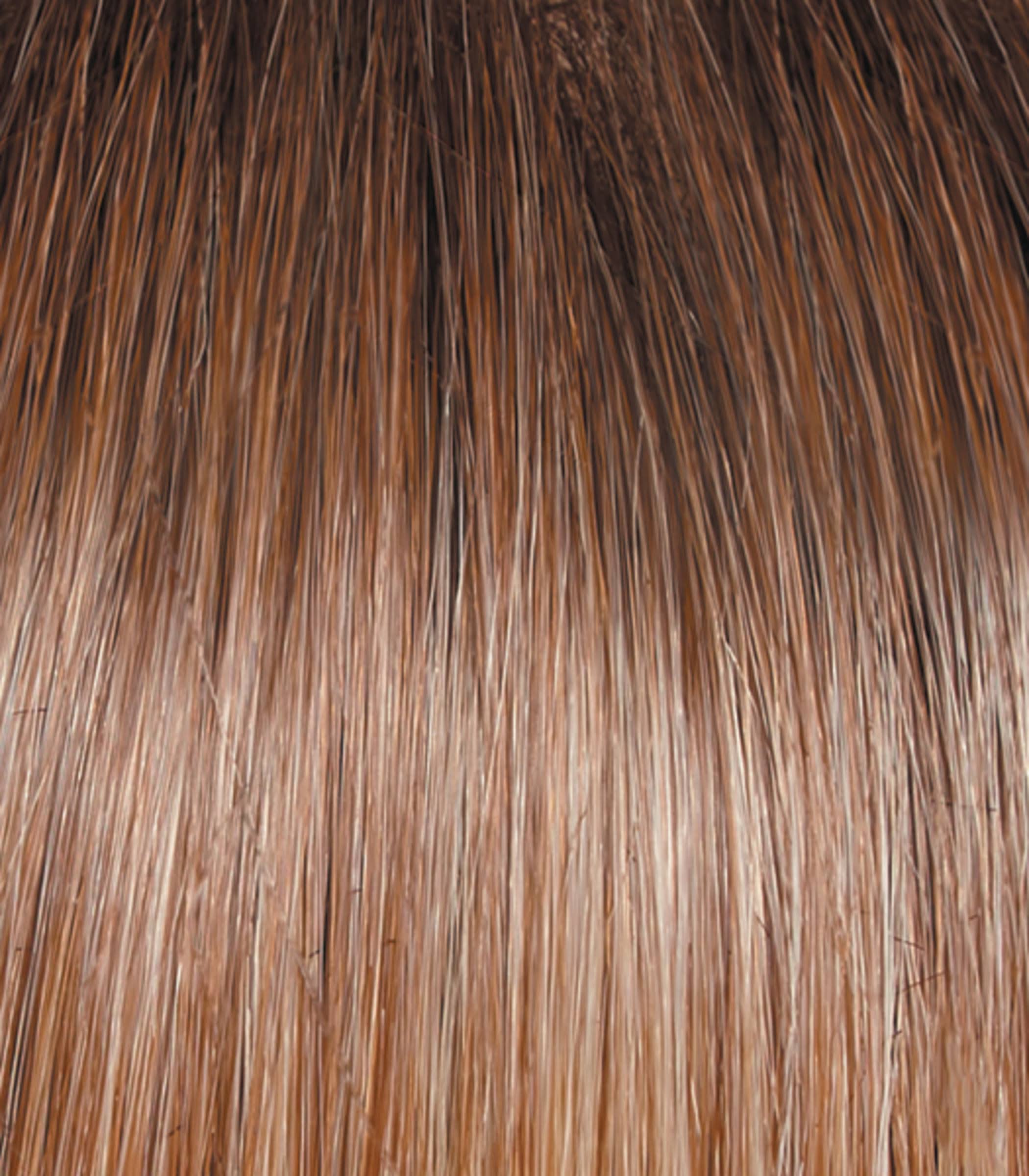 on Point by Raquel Welch - HF Synthetic Lace Front Wig - Color RL14/22SS