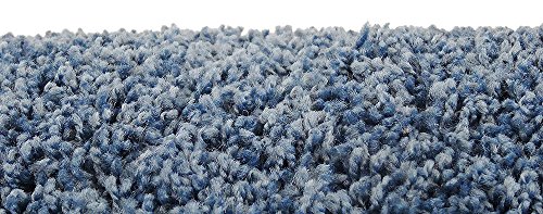 New Cat Condos 190121-Brown Cat Climbing Tree