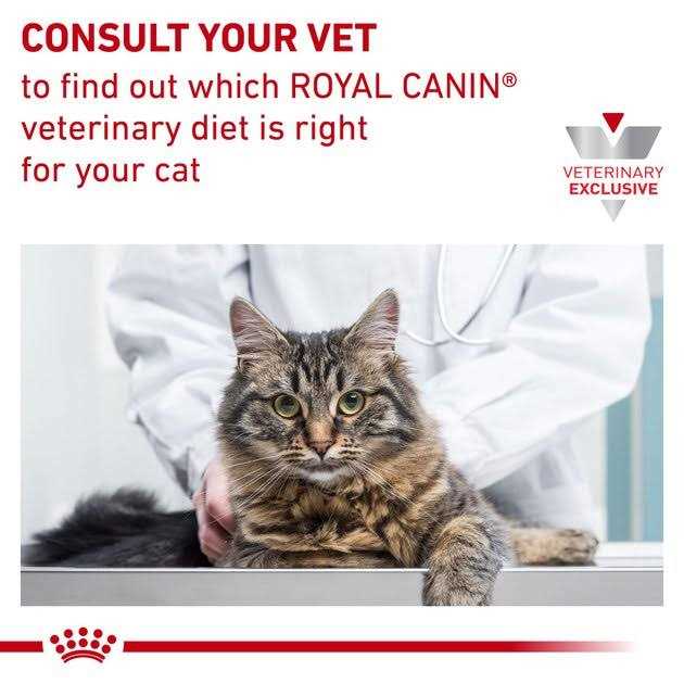 Royal Canin Veterinary Diet Hydrolyzed Protein Feline Treats - Pet Supplies online store