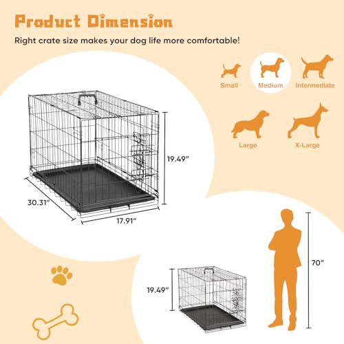 DUMOS Dog Crate, 36 Inch Medium Double Door Dog Cage with Divider Panel and Plastic Leak-Proof Pan Tray, Folding Metal Wire Pet Kennel for Indoor, Outdoor, Travel