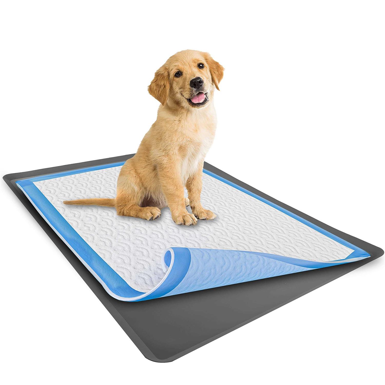 Skywin Puppy Pad Holder Tray No Spill Pee Pad Holder for Dogs Pee Pad Holder Works with Most Training Pads, Easy to Clean and Store - Pet Supplies online store