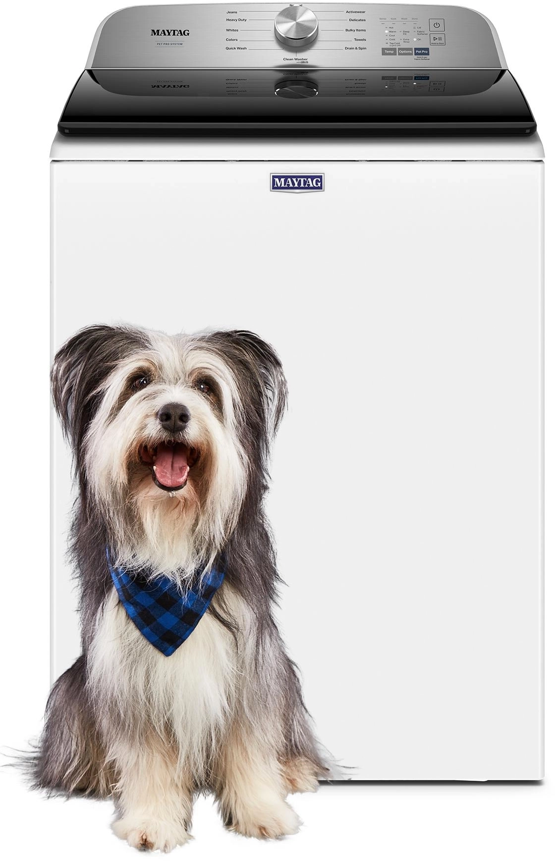 MVW6500MW Maytag Top Load Washer Model