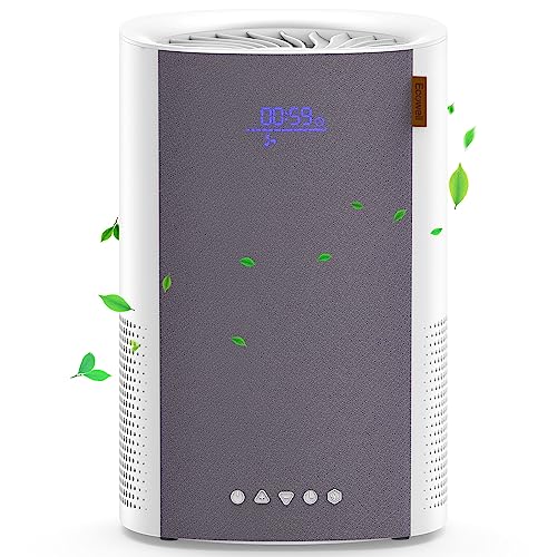 Air Purifiers for Bedroom Home, ECOWELL HEPA H13 Filter Air Purifiers for Home Large Room Office Living Room, Small Air Purifier for Pet Dander Odors Smokers Pollen Dust, Air Cleaner with Sleep Mode