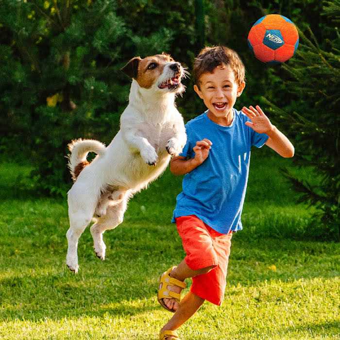 Nerf X-Weave Soccer Squeak Ball Dog Toy - Pet Supplies online store