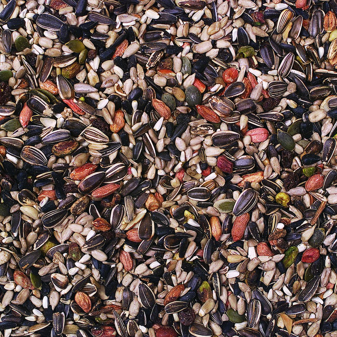 Wild Delight Advanced Formula Nut N' Berry Wild Bird Food, 20 lb