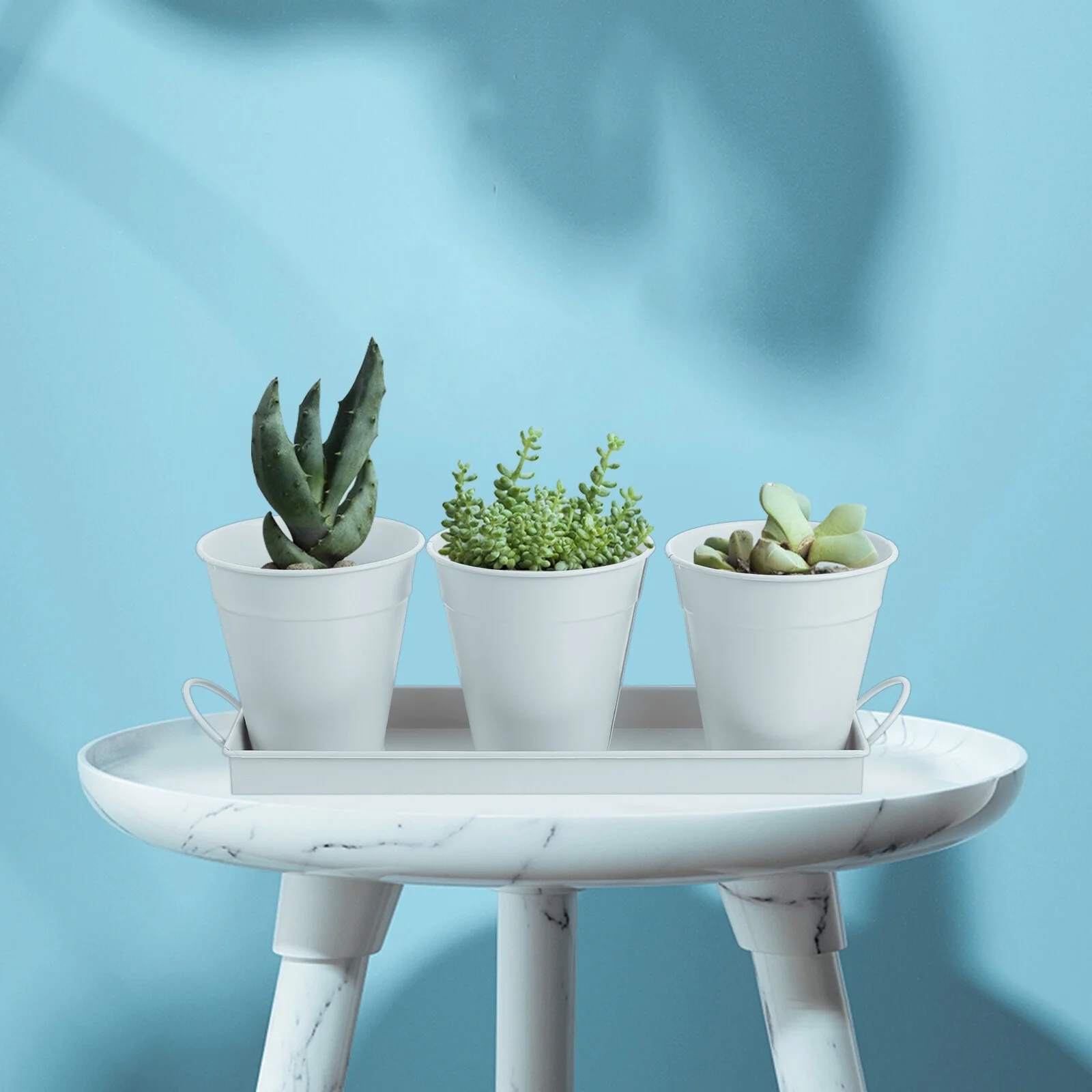 6 pcs Garden Flower Pot with 1pc Tray Succulents Utensil Holder