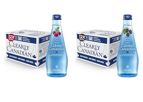 Clearly Canadian Mountain Blackberry Sparkling Water, 11 Fl Oz