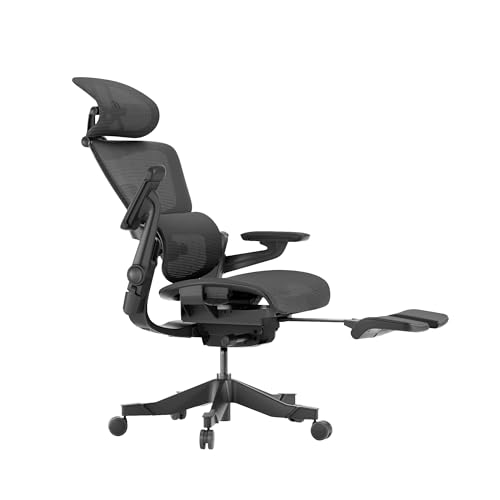 HINOMI H1 Pro V2 Ergonomic Office Chair with Footrest - Home Office Desk Chair with Lumbar Support, Mesh Office Chair with Headrest, Comfy Computer Chair with Back Support (Gray, Medium)