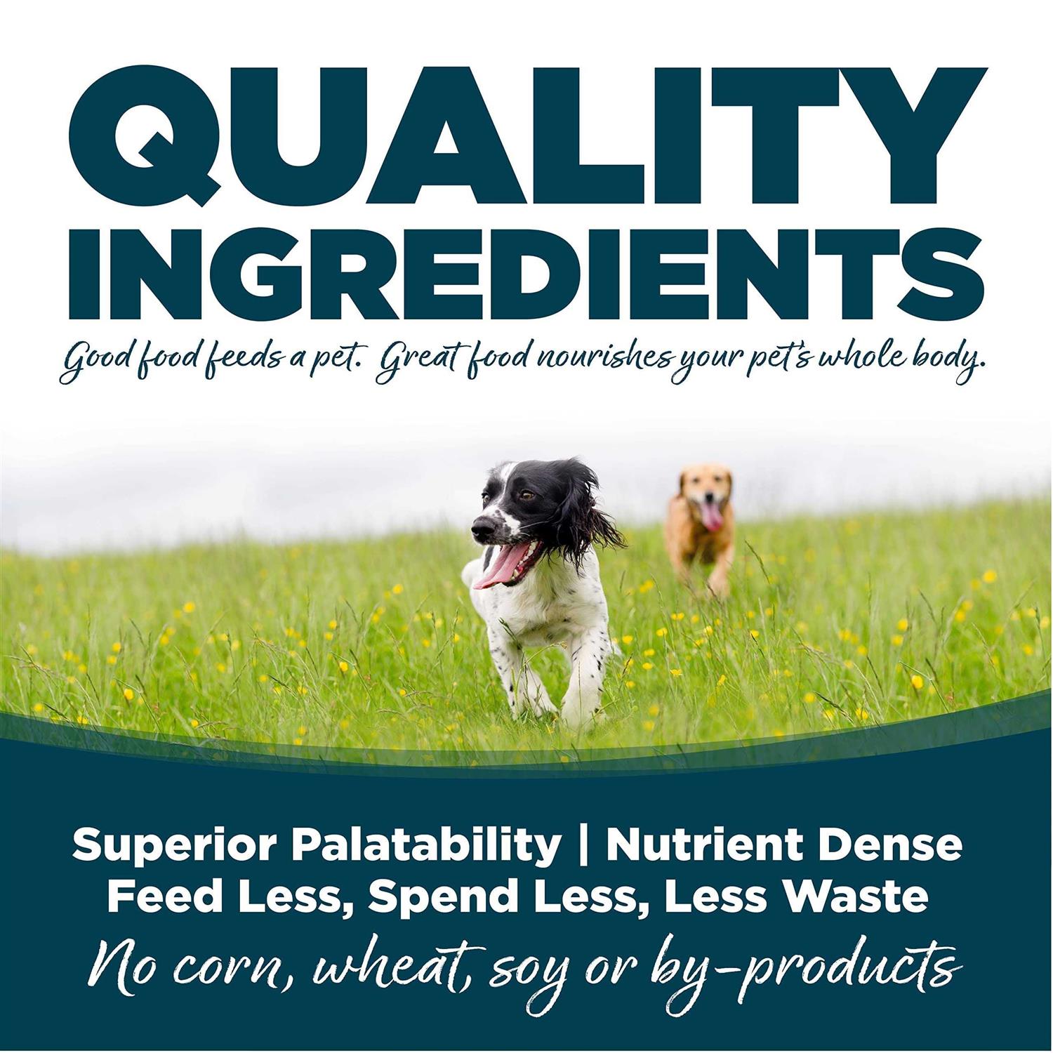 NutriSource Small Bites Adult Chicken & Rice Dry Dog Food - Pet Supplies online store