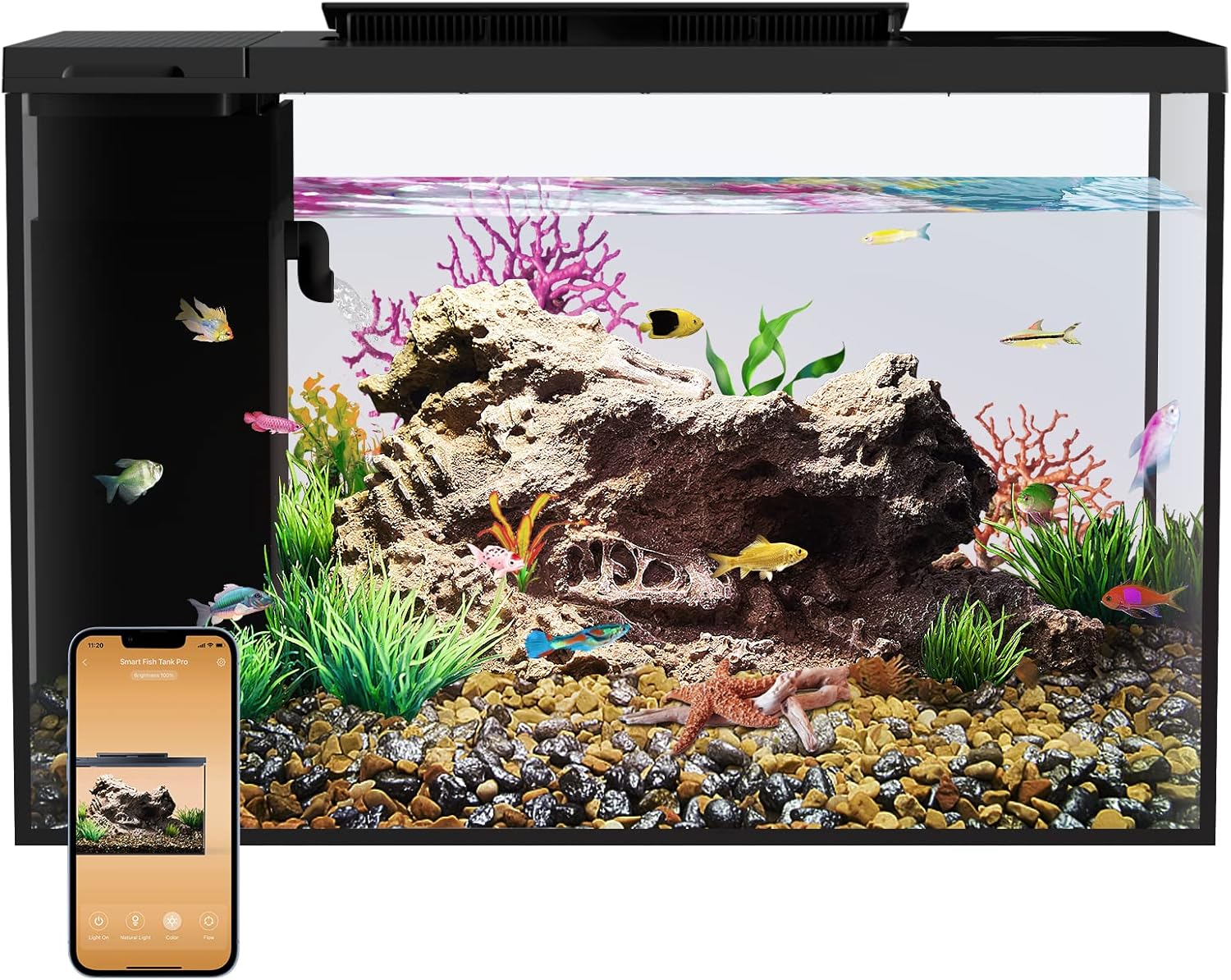 5 Gallon Betta Fish Tank self Cleaning, Small Fish Tank with Filter Light Water Pump, Fish Tank Starter Kits Fish Bowl (Aquarium with Landscape)