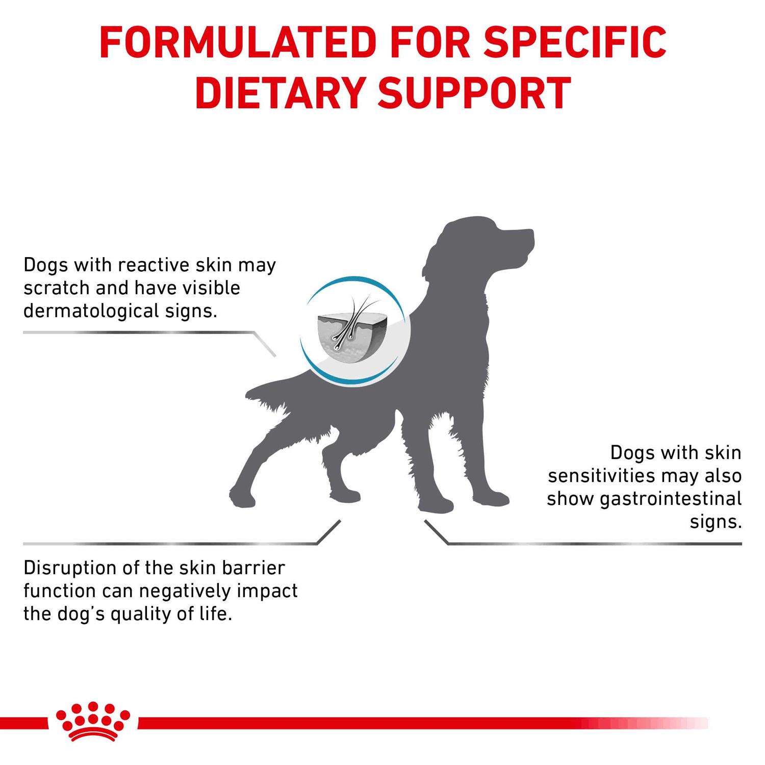 Royal Canin Veterinary Diet Skin Support Dry Dog Food - Pet Supplies online store