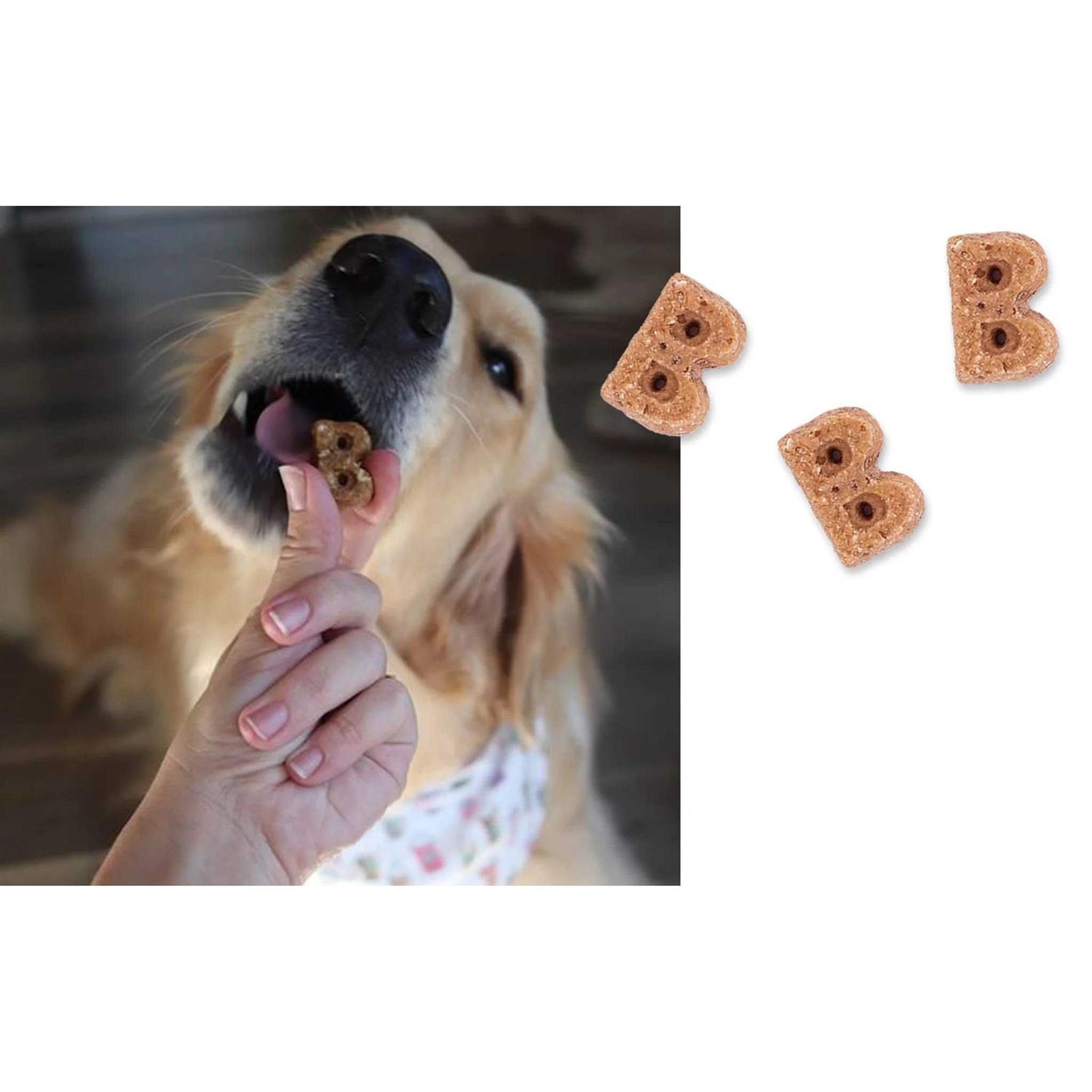 Bocce's Bakery Berry Sorbet Soft & Chewy Dog Treats - Pet Supplies online store