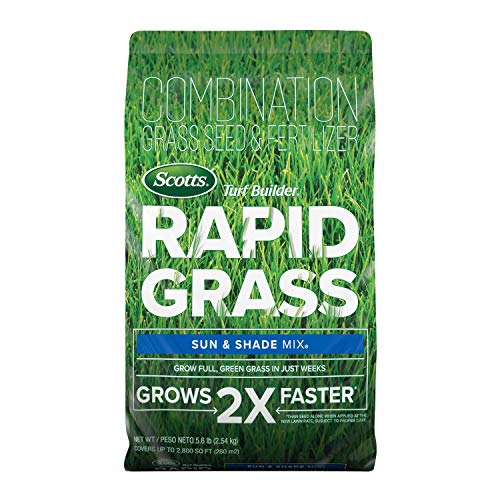 Scotts Turf Builder Rapid Grass Sun and Shade Mix, Combination Grass Seed and Fertilizer, Grows Green Grass in Just Weeks, 16 lbs.