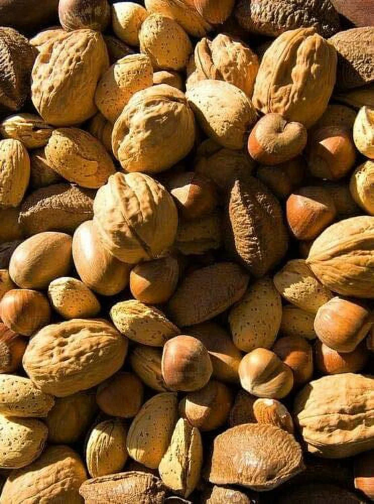 California Fresh Raw In-shell Whole Mixed Nuts 4 LB