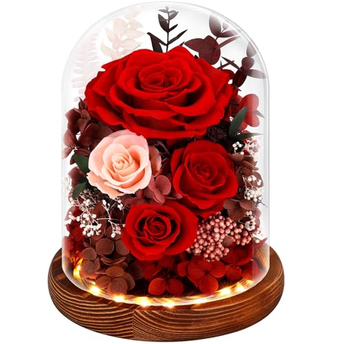 Forever Preserved Real Flowers for Delivery Prime, Etneral Fresh Roses in Glass Dome with LED Lights, Mothers Day Gifts for Mom, Her, Wife, Grandma, Daughter, Women, Girlfriend, Red