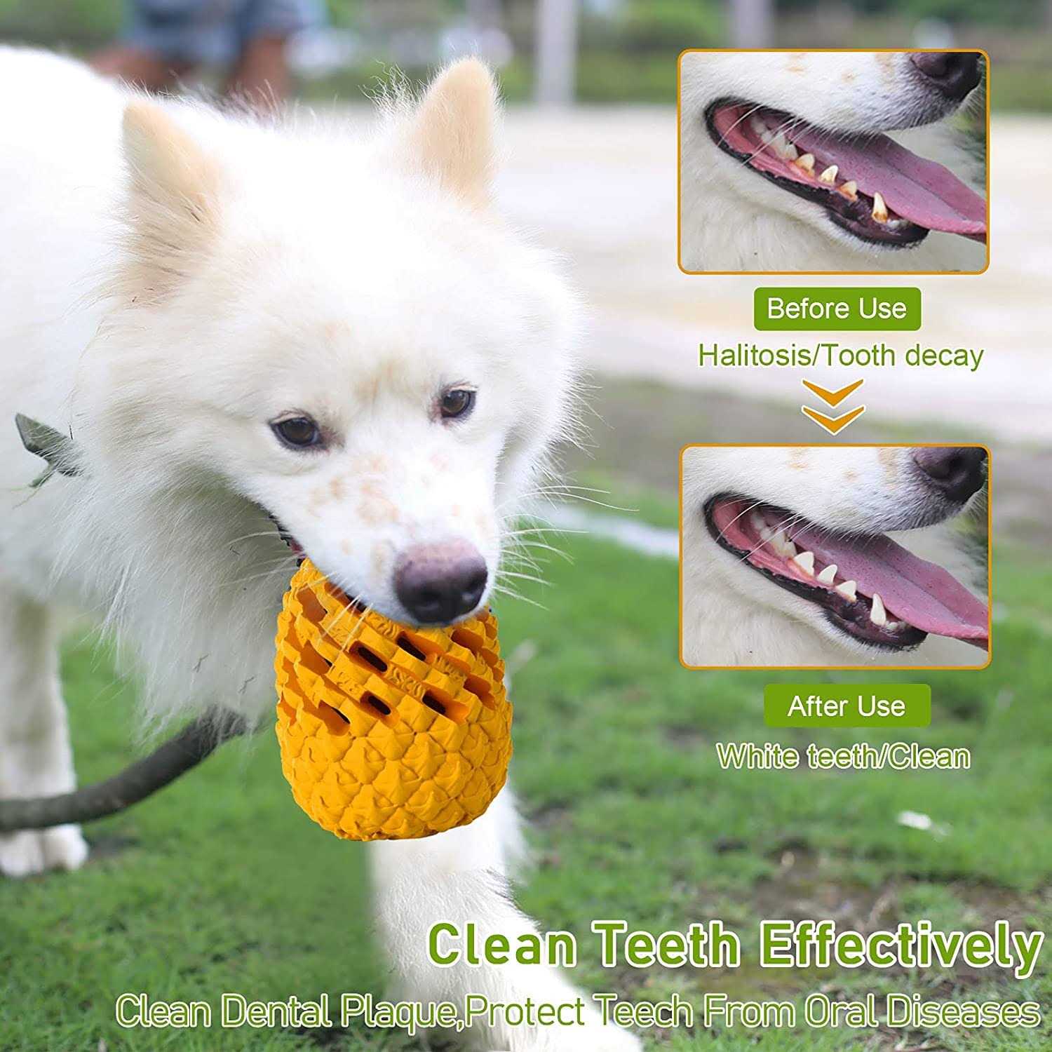 M.C.works Dog Chew Toys for Aggressive Chewer Tough Dog Dental Chews Toy - Pet Supplies online store
