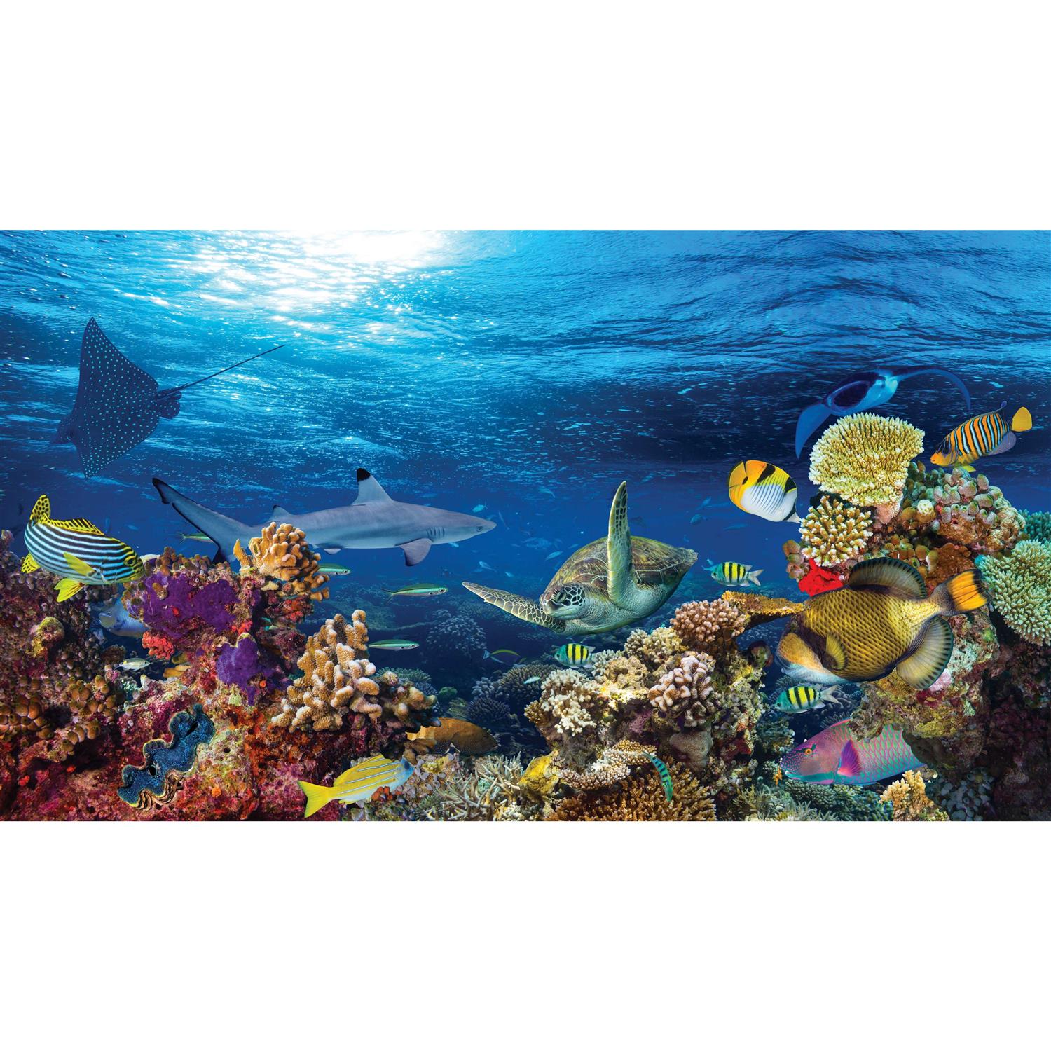 Top Fin Sunlight and Coral Reef Forest Reversible Aquarium Tank Background - Pet Supplies online store