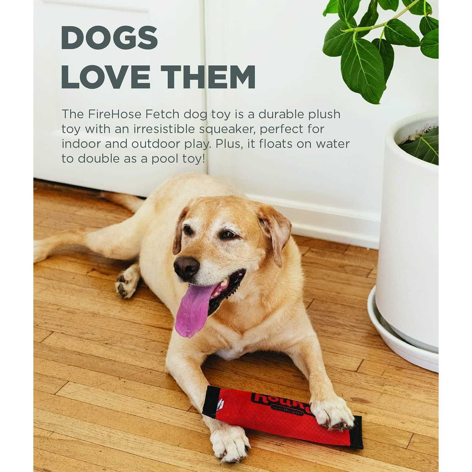 Outward Hound Fetch Dog Toy - Pet Supplies online store