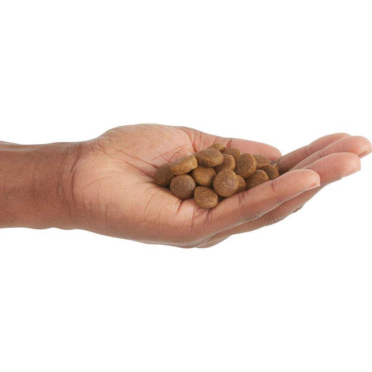 Acana Free-Run Poultry Dry Dog Food - Pet Supplies online store