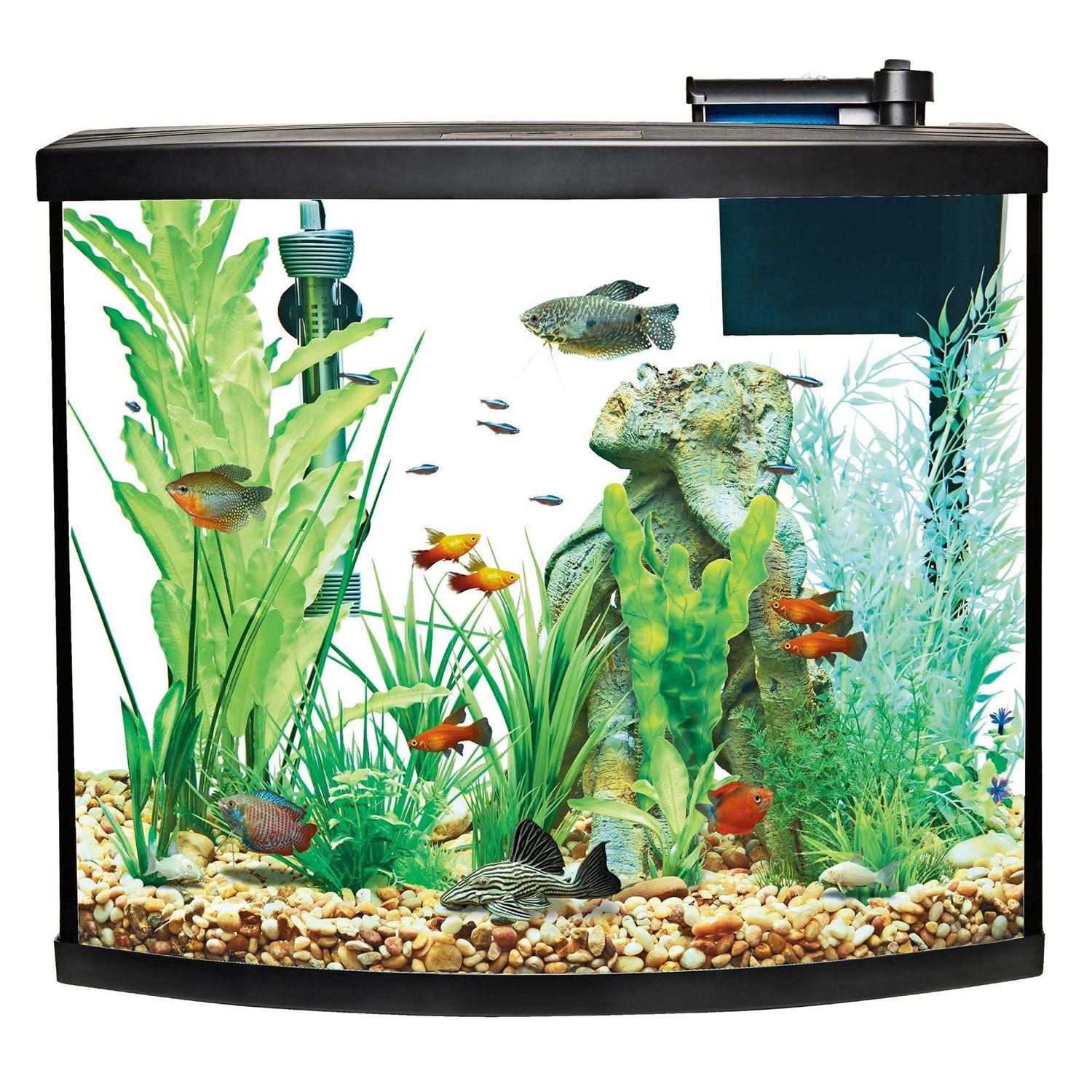 Top Fin Bow Front Aquarium Tank Starter Kit - Pet Supplies online store