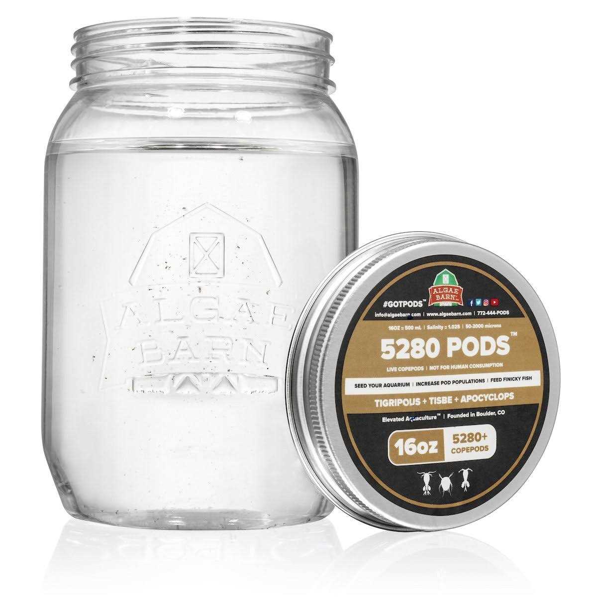 AlgaeBarn 5280 Pods : Live Copepods : Three Pod Species Tisbe + Tigriopus + Apocyclops - Pet Supplies online store