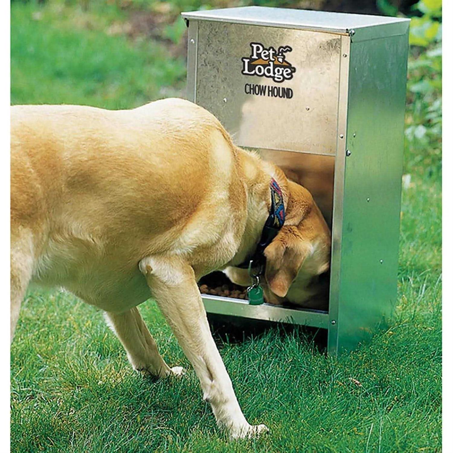 Pet Lodge CH12 Chow Hound 12 Pound Dog Feeder - Pet Supplies online store
