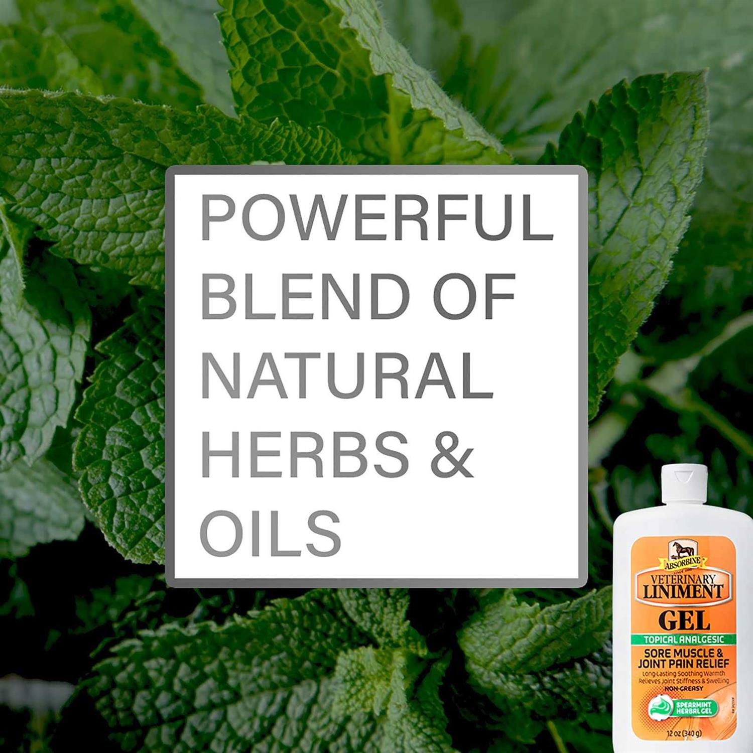 Absorbine Veterinary Liniment Gel - Pet Supplies online store