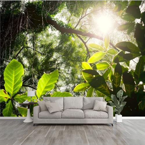3D Wallpaper Sunshine Travelling Forest Nature Kirkland Self Adhesive Bedroom Living Room Dormitory Decor Wall Mural Stick and Peel Background Wall Ceiling Wardrobe Sticker