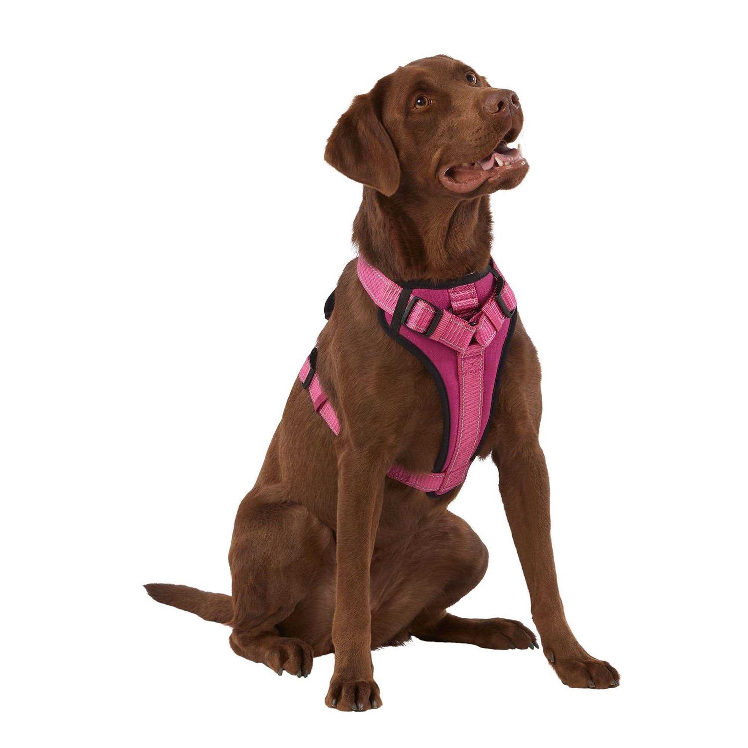 KONG MAX Neoprene Padded Dog Harness - Pet Supplies online store