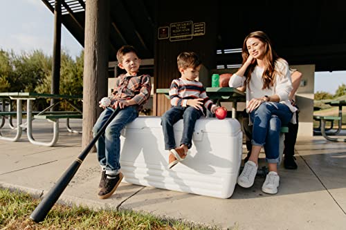 Igloo Quick and Cool Cooler (150-Quart, White)