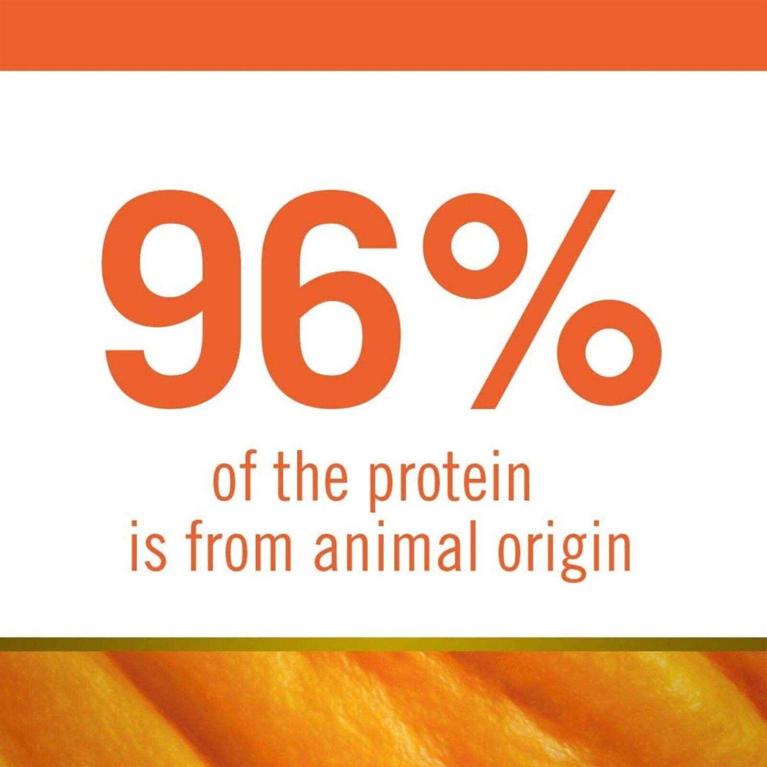 Farmina N&D Pumpkin Lamb & Blueberry Mini Dog Dry Food - Pet Supplies online store