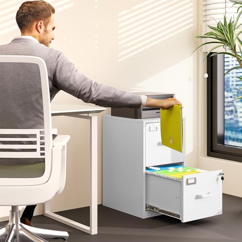 2 Drawer File Cabinet with Lock Vertical Filing Storage Cabinet Office Home Steel Vertical File Cabinets for Letter Size File Cabinet Locked,Assembly Required