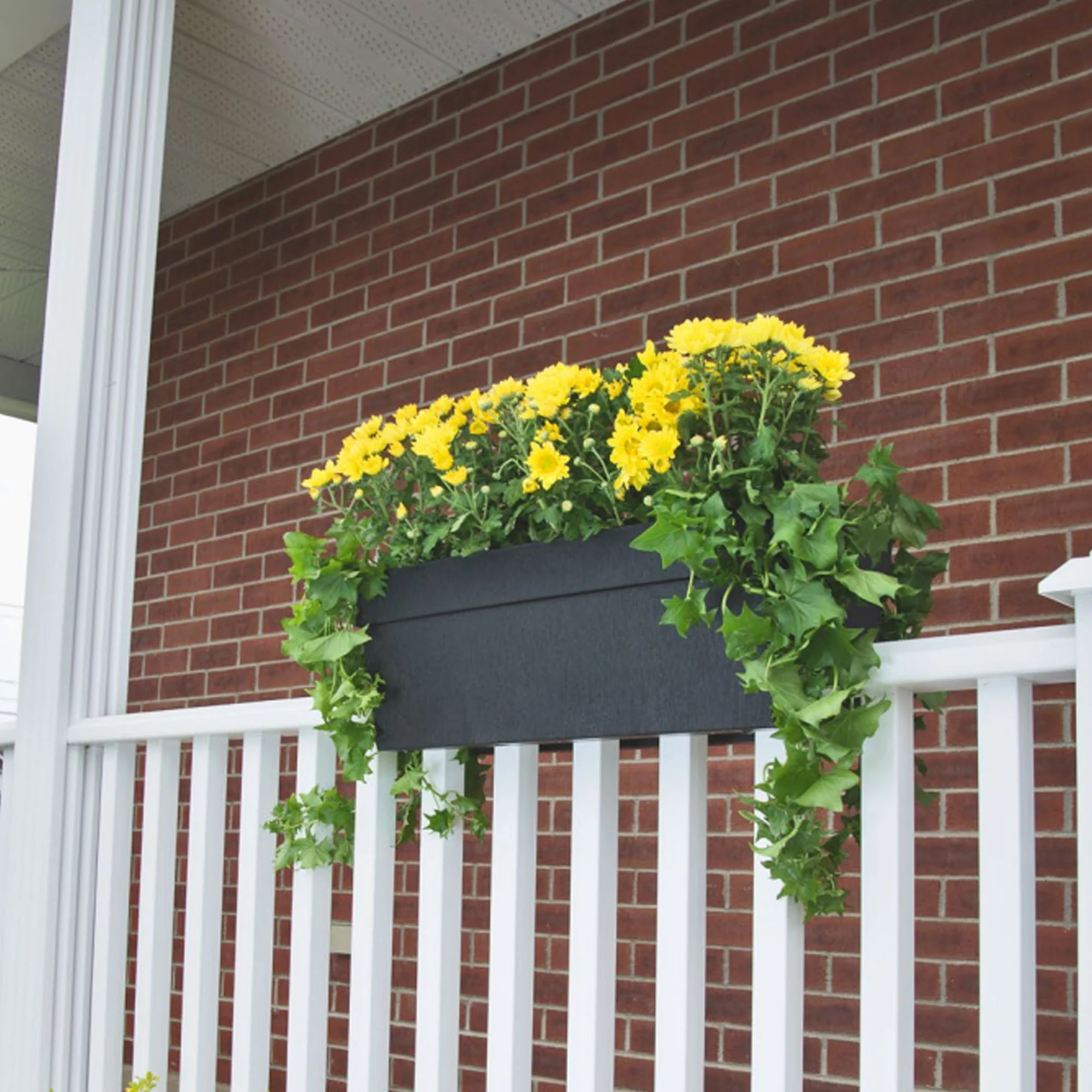 DCN Plastic Harmony Indoor/Outdoor Self Watering Deck Rail Planter, Black