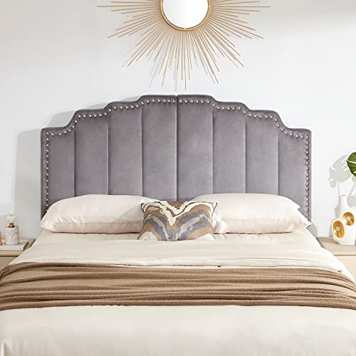 Kingfun Mid Century Headboard for King Size Bed, Velvet Upholstered Tufted Bed Headboard with Nailhead Decor, Adjustable Curved Solid Wood Head Board with Vertical Channel Design in Grey
