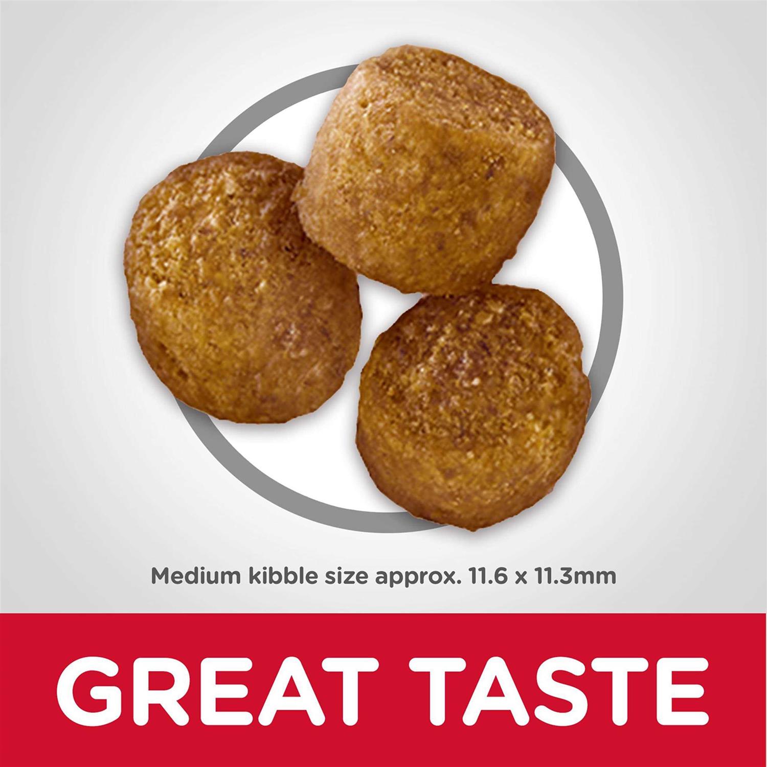 Hill's Science Diet Adult Perfect Weight Chicken Dog Food - Pet Supplies online store