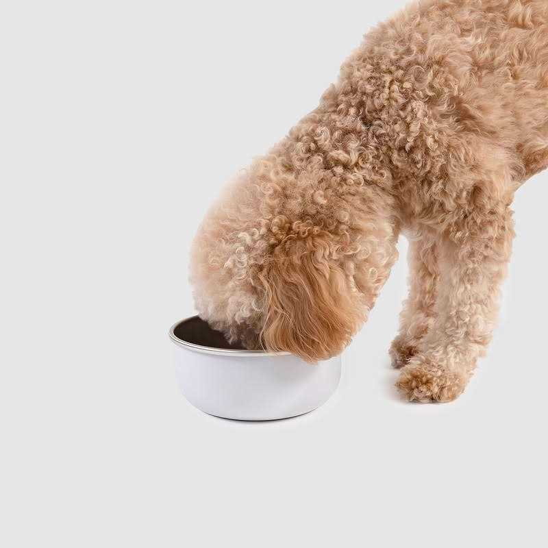 Diggs Bowl Ash Diggs Crate Clip - Pet Supplies online store