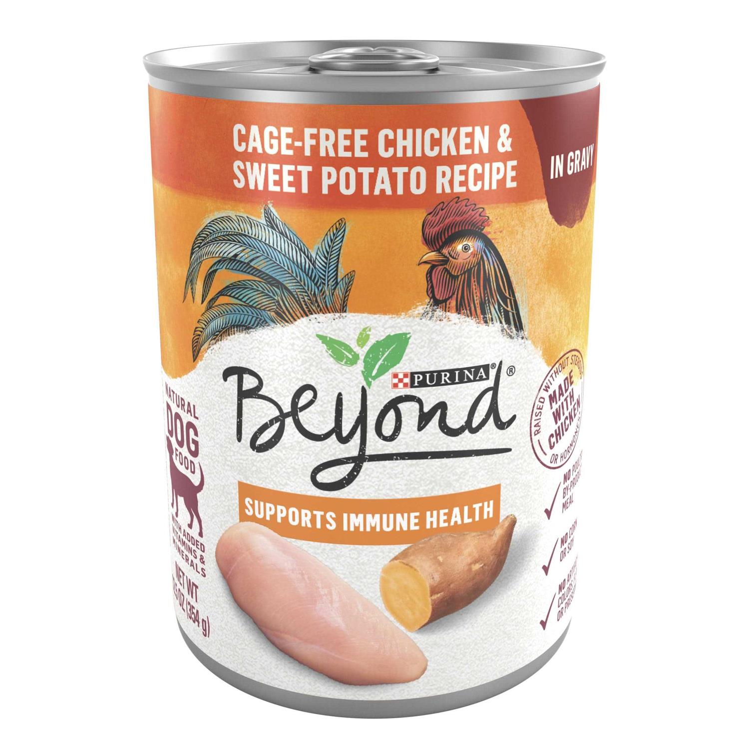 Purina Beyond Chicken and Sweet Potato in Gravy Grain Free Wet Dog Food - Pet Supplies online store