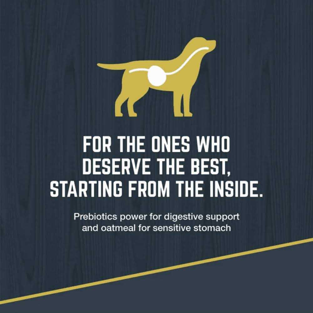 Black Gold Explorer Dog Food Chicken Meal & Brown Rice Formula - Pet Supplies online store