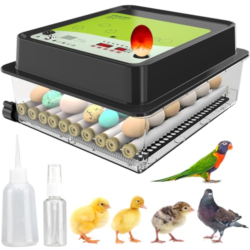 OBI-12 Egg Incubator for Hatching Chickens, Ducks & Other Birds + New 2024 + Automatic Egg Turner + Temperature Control + Humidity Display + Integrated Egg Candler + 5 Year Warranty