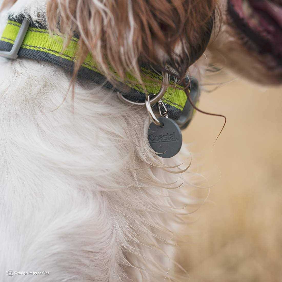 Coastal EZ Change Dog ID Clip - Pet Supplies online store