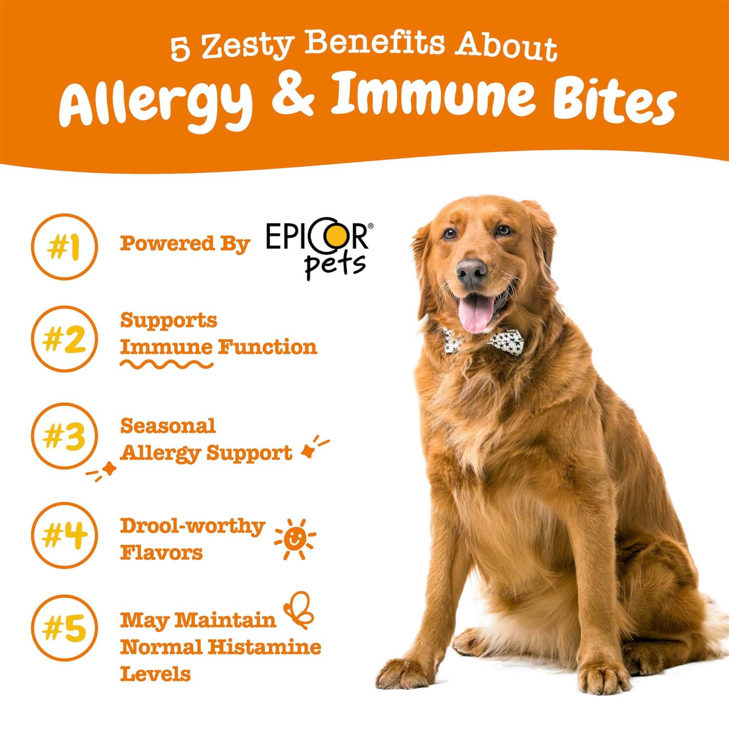 Zesty Paws Salmon Allergy & Immune Bites for Dogs - Pet Supplies online store