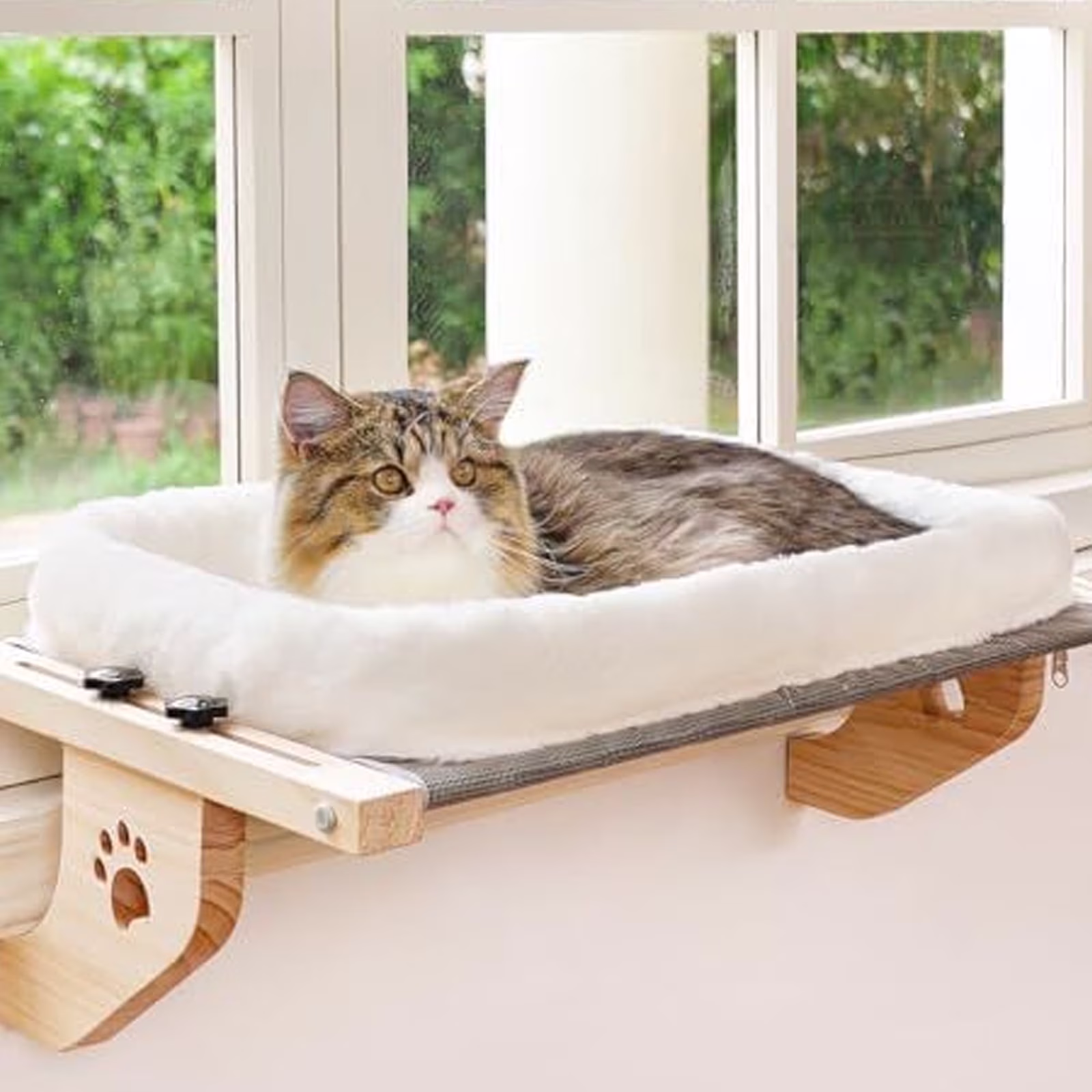 Plush Cat and Dog Bed with Pillow for Curling Sleep, Self-Warming, Anti-Slip Bottom, Suitable  Size, Perfect for Carriers or Crates