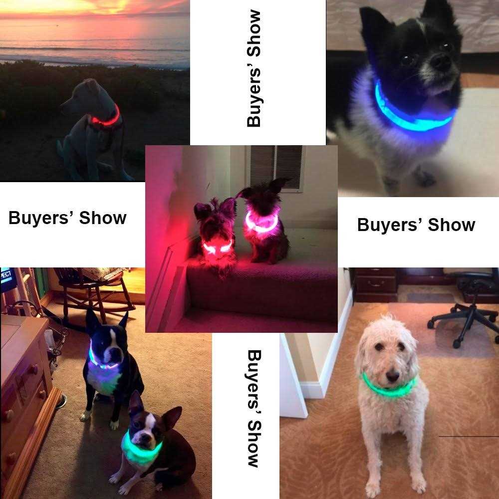 BSEEN Light Dog Collars Rechargeable LED Dog Collar Collar - Pet Supplies online store