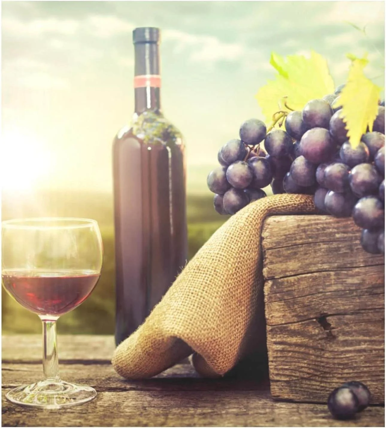 Coolnut Farm Delicious Wine Dishwasher Magnet Cover,Reusable Fridge Panel Decal with Magnetic Stickers for Kitchen Appliance Home Decor, 23