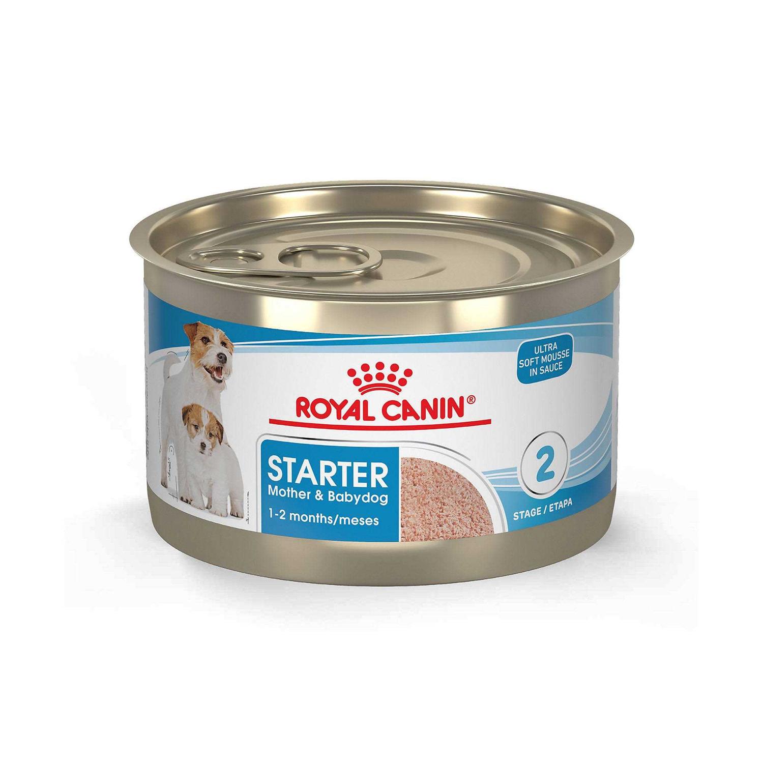 Royal Canin Starter Mousse in Sauce Mother & Babydog Dog Food - Pet Supplies online store